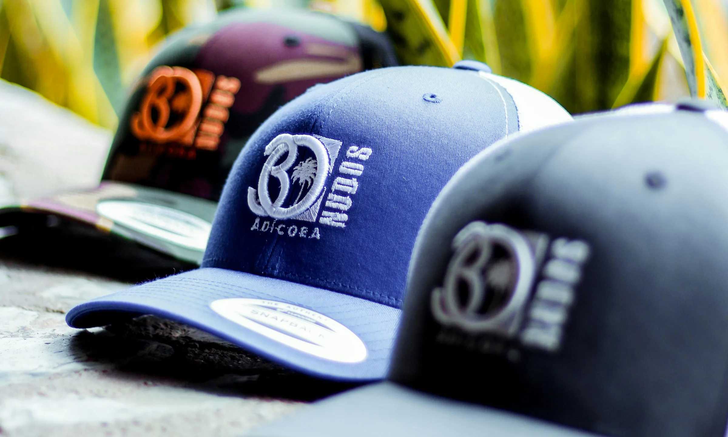 Branded snapback hats on a stone ledge in front of snake plants.