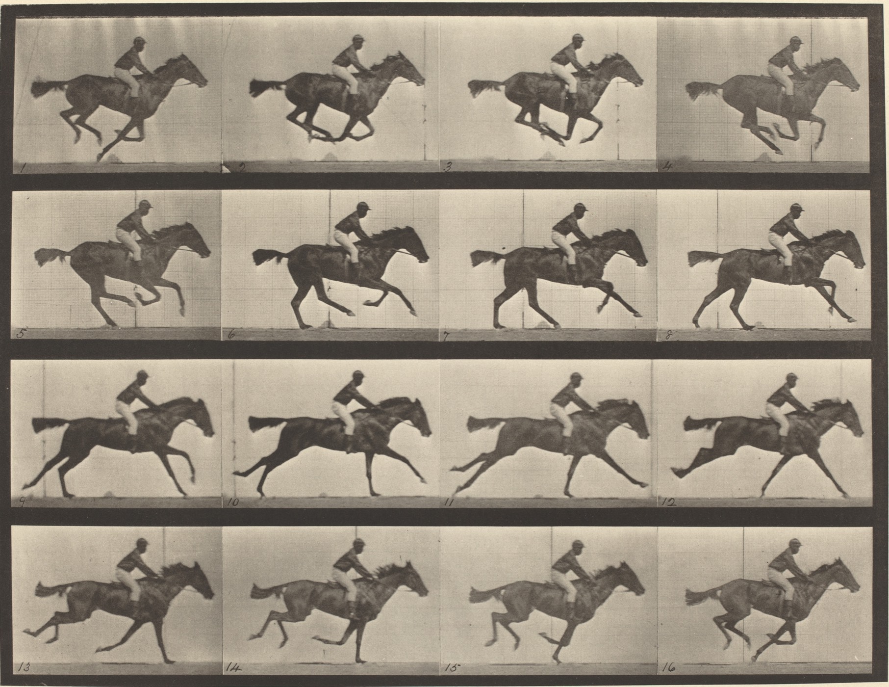 Animal Locomotion, plate 626